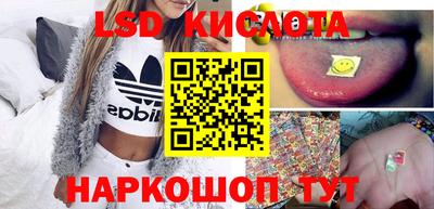 СК Сланцы