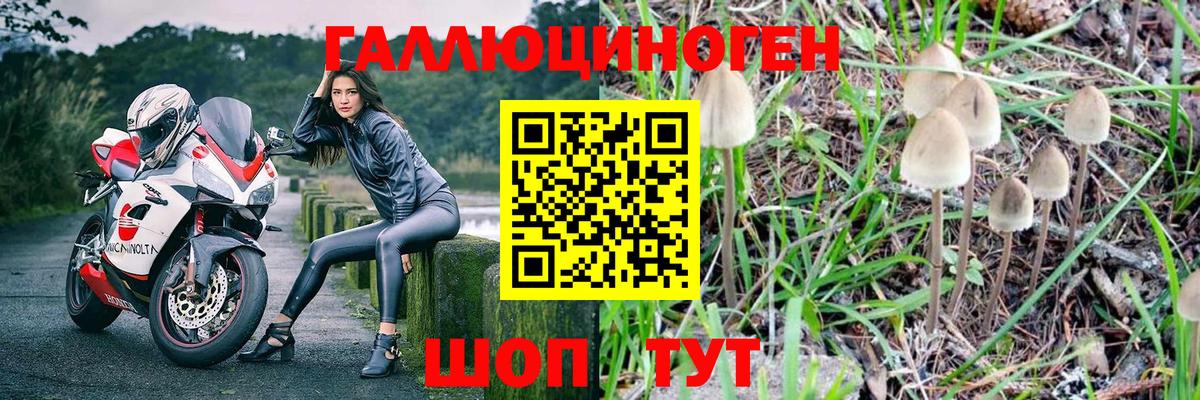 Галлюциногенные грибы мухоморы  Вход с VPN  Псилоцибиновые грибы GOLDEN TEACHER  Новый Уренгой 